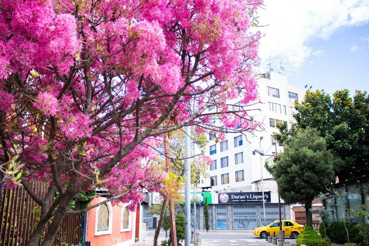 Hostal Loro Verde Quito Buitenkant foto